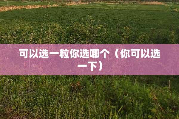 可以选一粒你选哪个(你可以选一下) 可以选一粒你选哪个(你可以选一下)