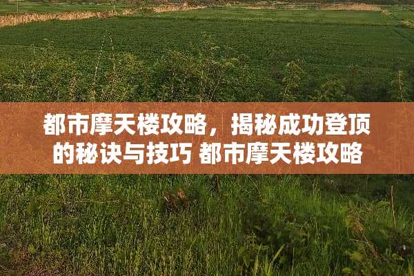 都市摩天楼攻略,揭秘成功登顶的秘诀与技巧 都市摩天楼攻略 都市摩天楼攻略,揭秘成功登顶的秘诀与技巧 都市摩天楼攻略