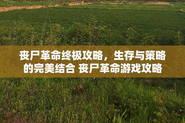 丧尸**终极攻略,生存与策略的完美结合 丧尸**游戏攻略 丧尸**终极攻略,生存与策略的完美结合 丧尸**游戏攻略