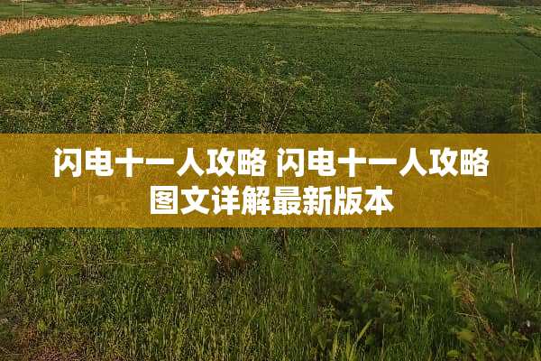 闪电十一人攻略 闪电十一人攻略图文详解最新版本 闪电十一人攻略 闪电十一人攻略图文详解最新版本