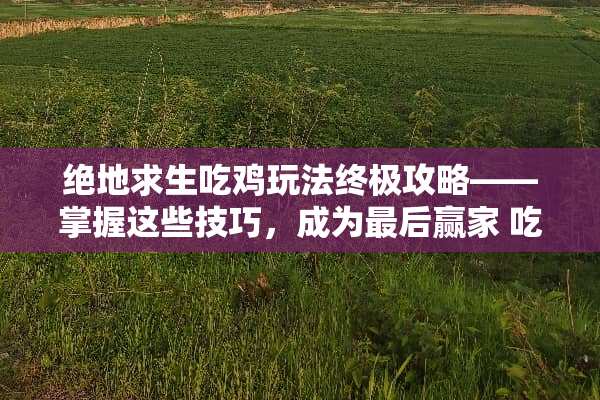 绝地求生吃鸡玩法终极攻略——掌握这些技巧,成为最后** 吃鸡玩法攻略 绝地求生吃鸡玩法终极攻略——掌握这些技巧,成为最后** 吃鸡玩法攻略