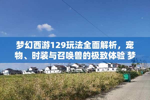 梦幻西游129玩法全面解析,宠物、时装与召唤兽的极致体验 梦幻西游129玩法 梦幻西游129玩法全面解析,宠物、时装与召唤兽的极致体验 梦幻西游129玩法