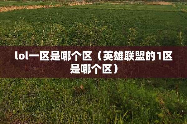 lol一区是哪个区(英雄联盟的1区是哪个区) lol一区是哪个区(英雄联盟的1区是哪个区)