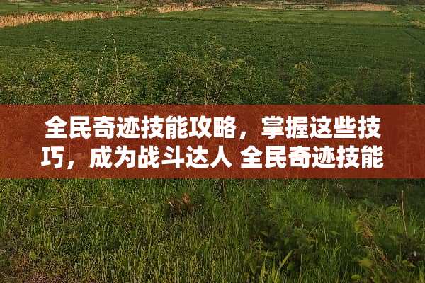 全民奇迹技能攻略,掌握这些技巧,成为战斗达人 全民奇迹技能 全民奇迹技能攻略,掌握这些技巧,成为战斗达人 全民奇迹技能