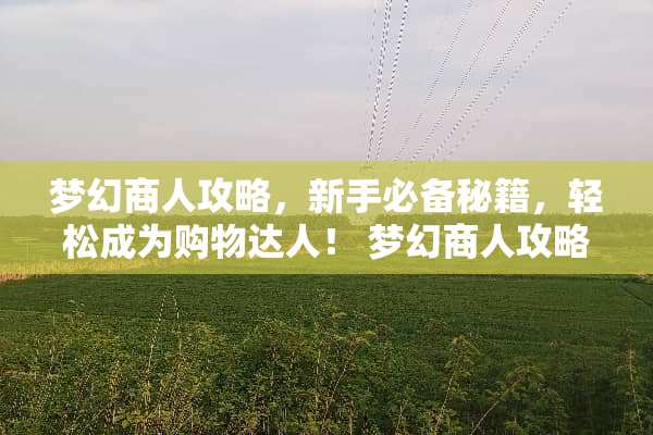 梦幻商人攻略,新手必备秘籍,轻松成为购物达人! 梦幻商人攻略 梦幻商人攻略,新手必备秘籍,轻松成为购物达人! 梦幻商人攻略