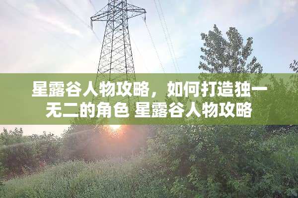 星露谷人物攻略,如何打造独一无二的角色 星露谷人物攻略 星露谷人物攻略,如何打造独一无二的角色 星露谷人物攻略