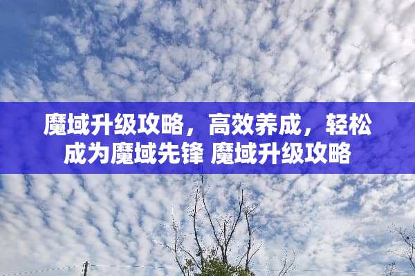 魔域升级攻略,高效养成,轻松成为魔域先锋 魔域升级攻略 魔域升级攻略,高效养成,轻松成为魔域先锋 魔域升级攻略