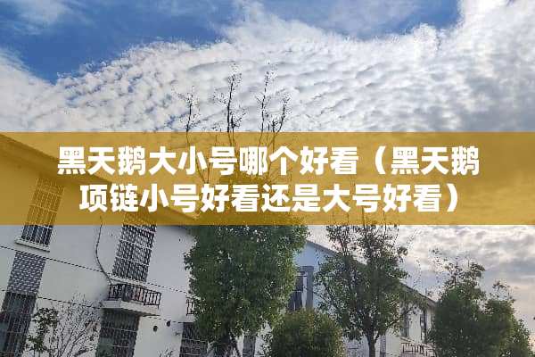 黑天鹅大小号哪个好看(黑天鹅项链小号好看还是大号好看) 黑天鹅大小号哪个好看(黑天鹅项链小号好看还是大号好看)
