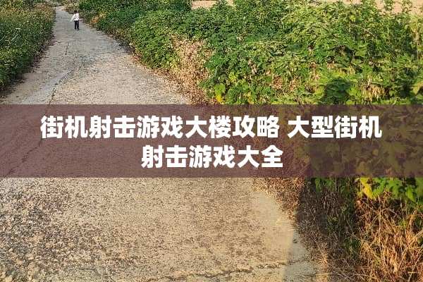 街机射击游戏大楼攻略 大型街机射击游戏大全 街机射击游戏大楼攻略 大型街机射击游戏大全