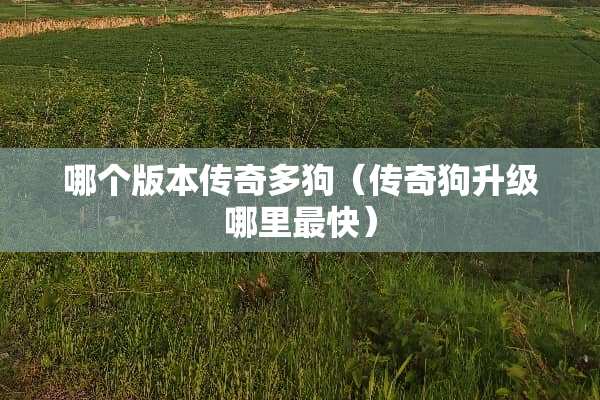 哪个版本传奇多狗(传奇狗升级哪里最快) 哪个版本传奇多狗(传奇狗升级哪里最快)