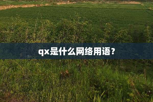 qx是什么网络用语？