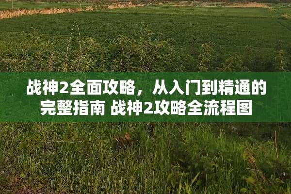 战神2全面攻略,从入门到精通的完整指南 战神2攻略全流程图 战神2全面攻略,从入门到精通的完整指南 战神2攻略全流程图