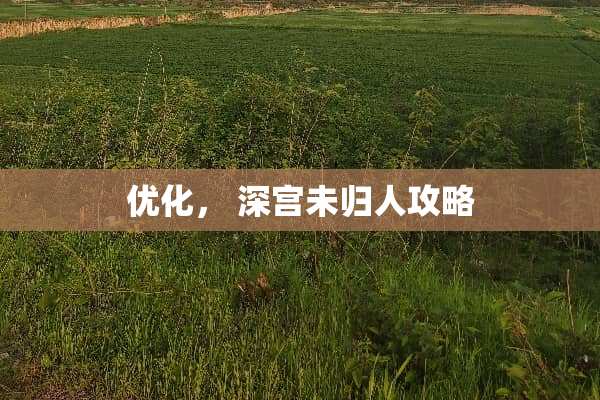 优化, 深宫未归人攻略 优化, 深宫未归人攻略