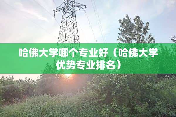 哈佛大学哪个专业好(哈佛大学优势专业排名) 哈佛大学哪个专业好(哈佛大学优势专业排名)