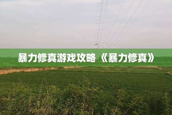 **修真游戏攻略 《**修真》 **修真游戏攻略 《**修真》