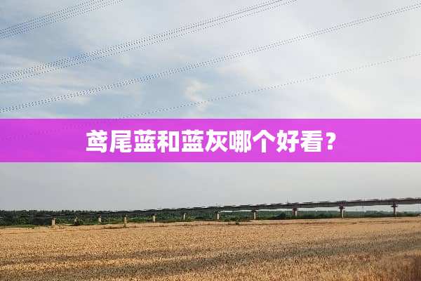 鸢尾蓝和蓝灰哪个好看？