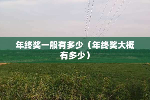 年终奖一般有多少(年终奖大概有多少) 年终奖一般有多少(年终奖大概有多少)
