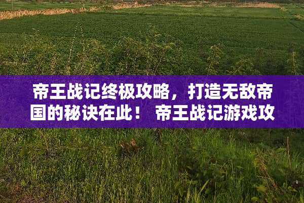 帝王战记终极攻略,打造无敌帝国的秘诀在此! 帝王战记游戏攻略 帝王战记终极攻略,打造无敌帝国的秘诀在此! 帝王战记游戏攻略