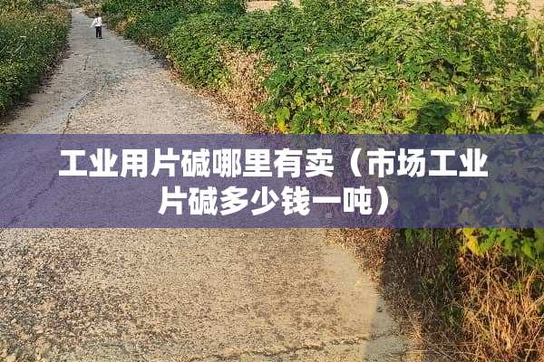 工业用片碱哪里有卖(市场工业片碱多少钱一吨) 工业用片碱哪里有卖(市场工业片碱多少钱一吨)
