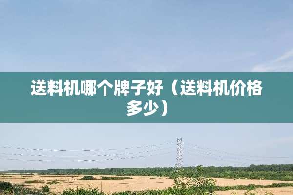 送料机哪个牌子好(送料机价格多少) 送料机哪个牌子好(送料机价格多少)