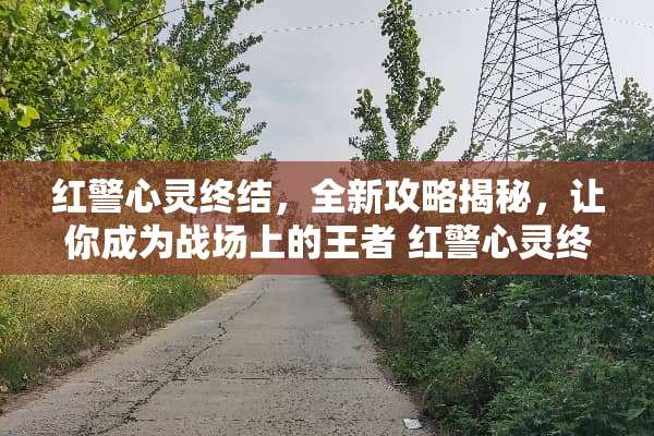红警心灵终结,全新攻略揭秘,让你成为战场上的王者 红警心灵终结攻略 红警心灵终结,全新攻略揭秘,让你成为战场上的王者 红警心灵终结攻略