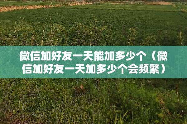 微信加好友一天能加多少个(微信加好友一天加多少个会频繁) 微信加好友一天能加多少个(微信加好友一天加多少个会频繁)