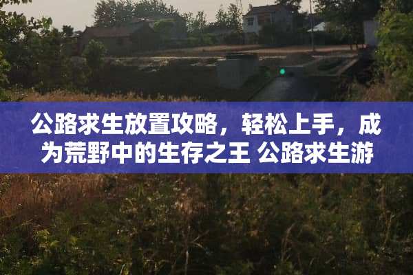公路求生放置攻略,轻松上手,成为荒野中的生存之王 公路求生游戏放置攻略 公路求生放置攻略,轻松上手,成为荒野中的生存之王 公路求生游戏放置攻略