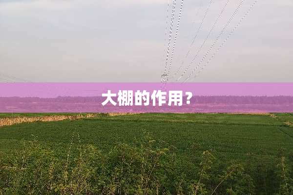 大棚的作用？
