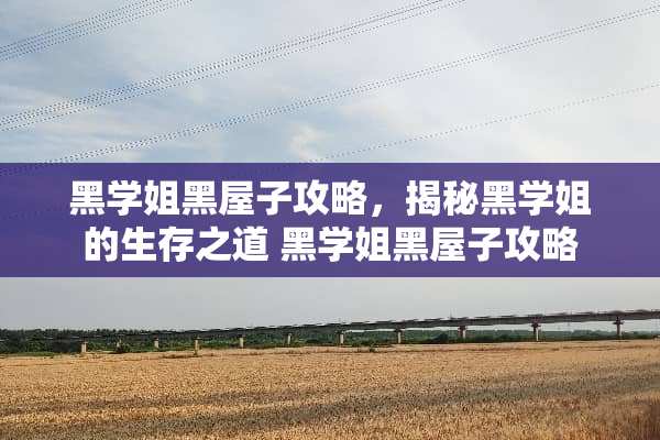黑学姐黑屋子攻略,揭秘黑学姐的生存之道 黑学姐黑屋子攻略 黑学姐黑屋子攻略,揭秘黑学姐的生存之道 黑学姐黑屋子攻略