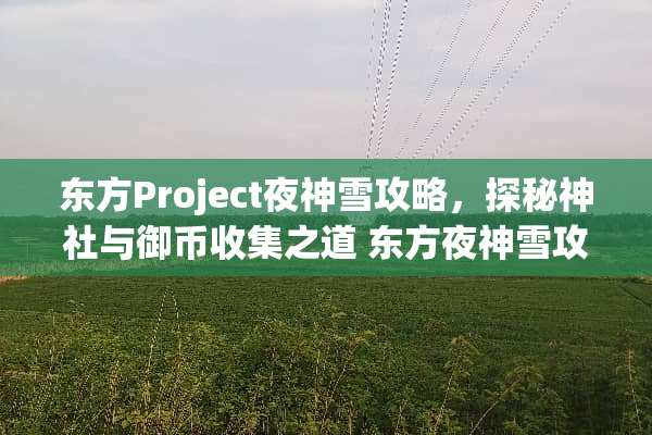 东方Project夜神雪攻略,探秘神社与御币收集之道 东方夜神雪攻略 东方Project夜神雪攻略,探秘神社与御币收集之道 东方夜神雪攻略
