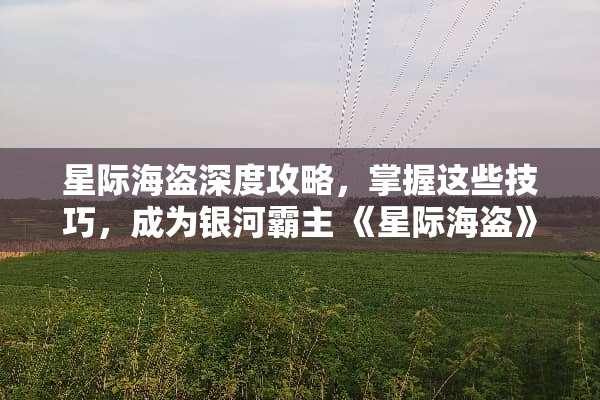 星际海盗深度攻略，掌握这些技巧，成为银河霸主 《星际海盗》游戏攻略