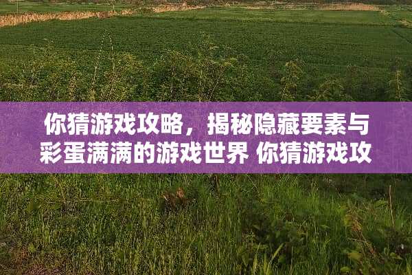 你猜游戏攻略,揭秘隐藏要素与彩蛋满满的游戏世界 你猜游戏攻略 你猜游戏攻略,揭秘隐藏要素与彩蛋满满的游戏世界 你猜游戏攻略