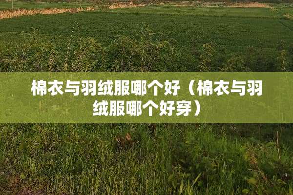 棉衣与羽绒服哪个好（棉衣与羽绒服哪个好穿）