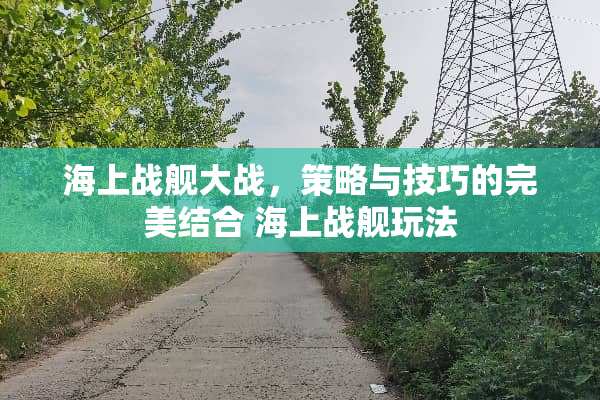 海上战舰大战，策略与技巧的完美结合 海上战舰玩法