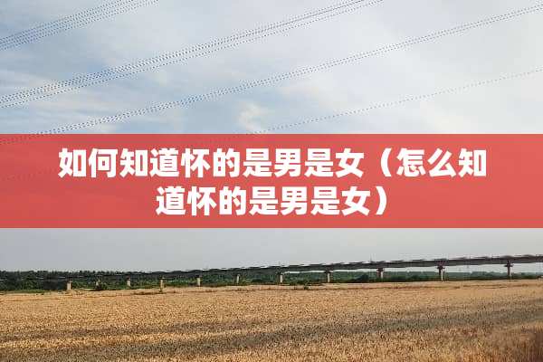 如何知道怀的是男是女(怎么知道怀的是男是女) 如何知道怀的是男是女(怎么知道怀的是男是女)