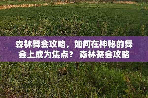 森林舞会攻略,如何在神秘的舞会上成为焦点? 森林舞会攻略 森林舞会攻略,如何在神秘的舞会上成为焦点? 森林舞会攻略