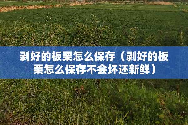 剥好的板栗怎么保存(剥好的板栗怎么保存不会坏还新鲜) 剥好的板栗怎么保存(剥好的板栗怎么保存不会坏还新鲜)