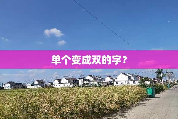 单个变成双的字？