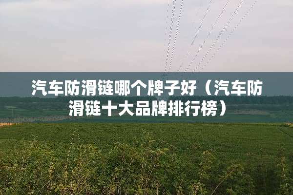 汽车防滑链哪个牌子好(汽车防滑链十大品牌排行榜) 汽车防滑链哪个牌子好(汽车防滑链十大品牌排行榜)