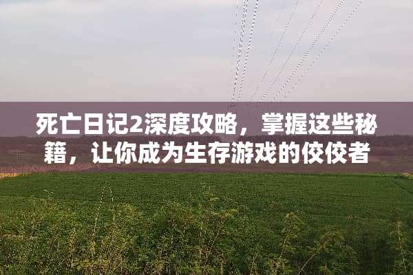 死亡日记2深度攻略,掌握这些秘籍,让你成为生存游戏的佼佼者! 死亡日记2攻略 死亡日记2深度攻略,掌握这些秘籍,让你成为生存游戏的佼佼者! 死亡日记2攻略