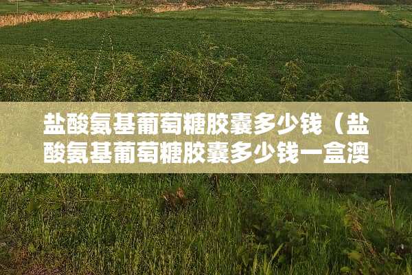 **氨基葡萄糖胶囊多少钱(**氨基葡萄糖胶囊多少钱一盒澳美制药) **氨基葡萄糖胶囊多少钱(**氨基葡萄糖胶囊多少钱一盒澳美制药)