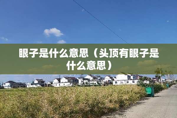 眼子是什么意思(头顶有眼子是什么意思) 眼子是什么意思(头顶有眼子是什么意思)