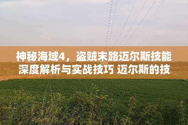 神秘海域4,盗贼末路迈尔斯技能深度解析与实战技巧 迈尔斯的技能 神秘海域4,盗贼末路迈尔斯技能深度解析与实战技巧 迈尔斯的技能