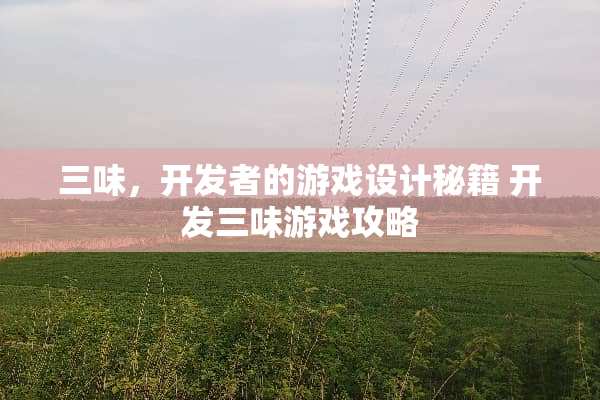 三味,开发者的游戏设计秘籍 开发三味游戏攻略 三味,开发者的游戏设计秘籍 开发三味游戏攻略