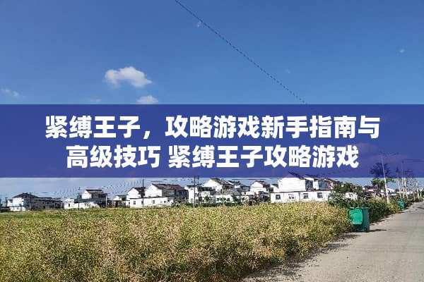 紧缚王子,攻略游戏新手指南与高级技巧 紧缚王子攻略游戏 紧缚王子,攻略游戏新手指南与高级技巧 紧缚王子攻略游戏