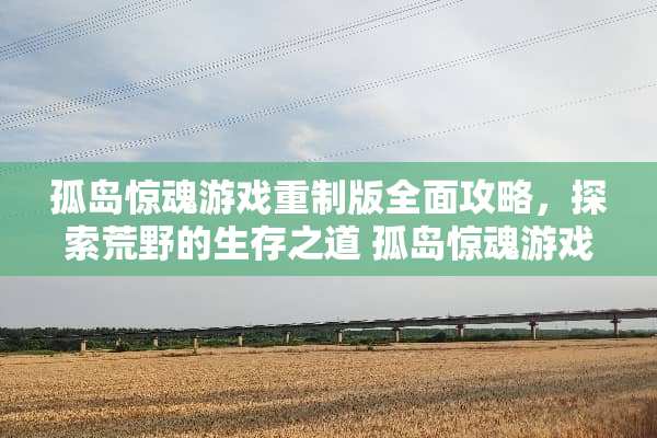 孤岛惊魂游戏重制版全面攻略,探索荒野的生存之道 孤岛惊魂游戏重制版攻略 孤岛惊魂游戏重制版全面攻略,探索荒野的生存之道 孤岛惊魂游戏重制版攻略