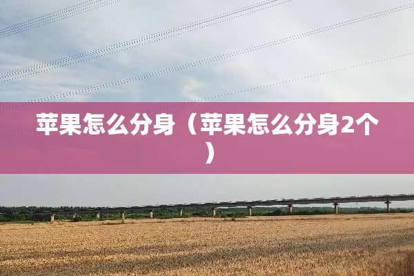 苹果怎么分身(苹果怎么分身2个) 苹果怎么分身(苹果怎么分身2个)