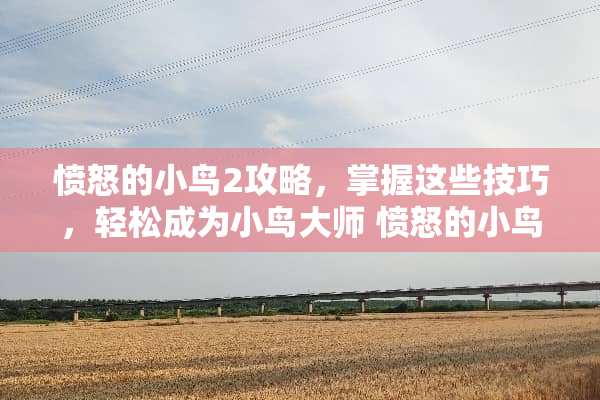 愤怒的小鸟2攻略,掌握这些技巧,轻松成为小鸟大师 愤怒的小鸟2攻略游戏 愤怒的小鸟2攻略,掌握这些技巧,轻松成为小鸟大师 愤怒的小鸟2攻略游戏