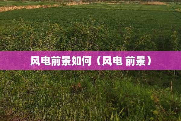 风电前景如何(风电 前景) 风电前景如何(风电 前景)