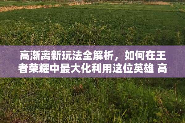 高渐离新玩法全解析,如何在王者荣耀中最大化利用这位英雄 高渐离新玩法 高渐离新玩法全解析,如何在王者荣耀中最大化利用这位英雄 高渐离新玩法